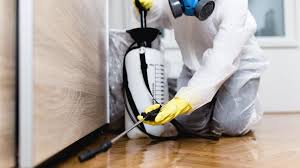 Professional Pest Control in Cuero, TX